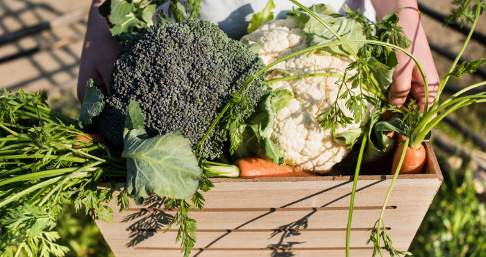 sustainable food