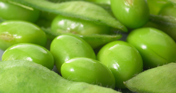 Soya beans