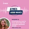 AYMES Audio waves - Episode 10