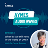 AYMES Audio waves - Episode 4