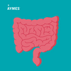 IBS and Anxiety – that “gut feeling” – a holistic approach