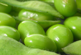 Soya beans