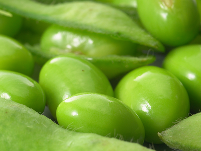 Links between soy intake and cancer