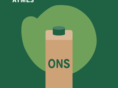 Real-World Application of Plant-Based Oral Nutritional Supplements (ONS) in Clinical Practice