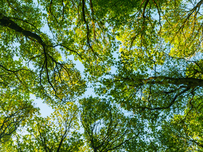 Real-World Application of Plant-Based ONS in Clinical Practice