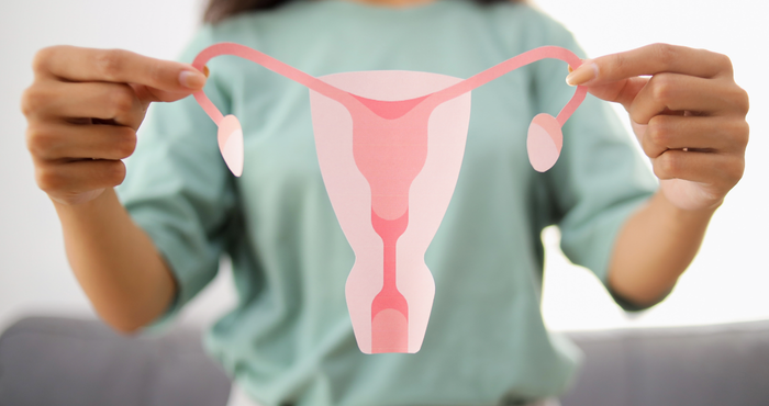 woman holding uterus